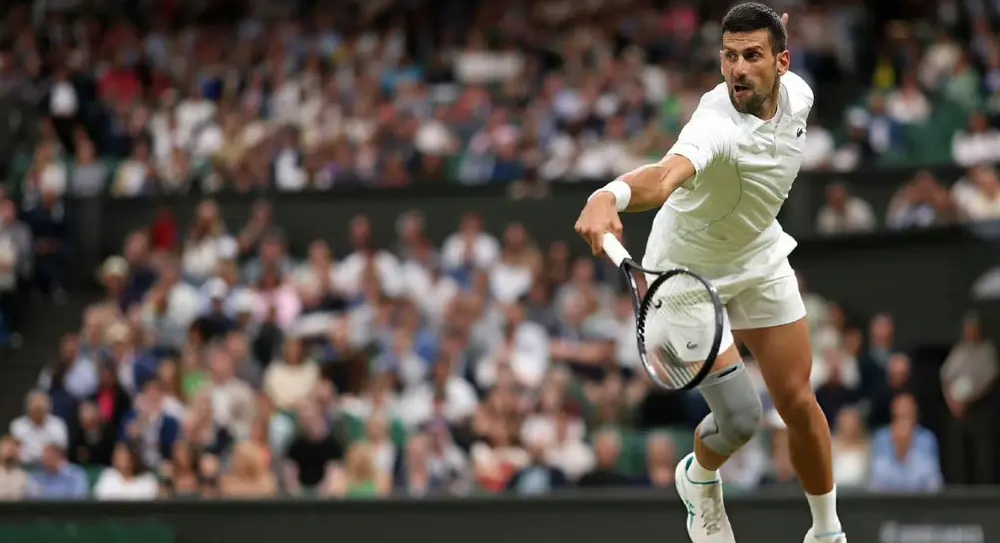 九游娱乐- 德约科维奇回怼球迷 